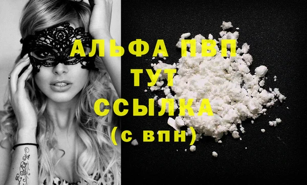 Альфа ПВП Верея