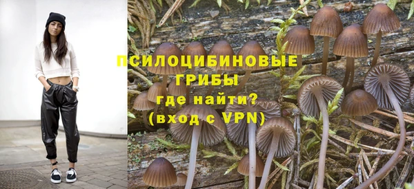 Альфа ПВП Верея