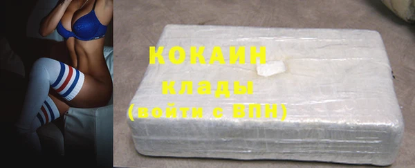 Альфа ПВП Верея