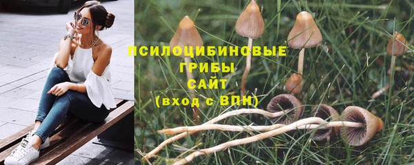 Альфа ПВП Верея